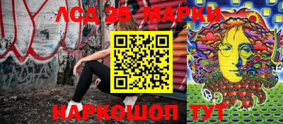 apvp Гатчина