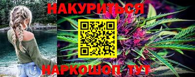 apvp Гатчина