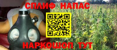 дурь Гай