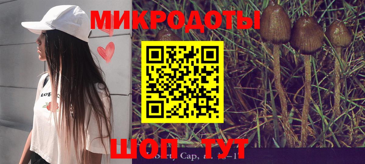 Шарыпово  Галлюциногенные грибы прущие грибы  Вход с VPN 