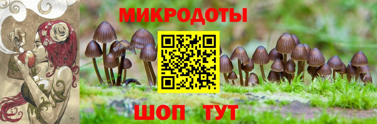 Псилоцибиновые грибы MAGIC MUSHROOMS Шарыпово